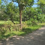 listing image thumbnail with ID 5745