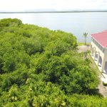 listing image thumbnail with ID 4130