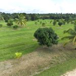 listing image thumbnail with ID 2974