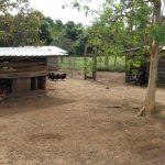 listing image thumbnail with ID 1329