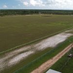 listing image thumbnail with ID 5081