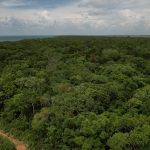 listing image thumbnail with ID 3891