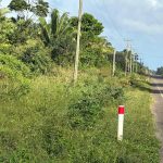 listing image thumbnail with ID 6323