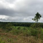 listing image thumbnail with ID 3748