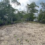 listing image thumbnail with ID 2530