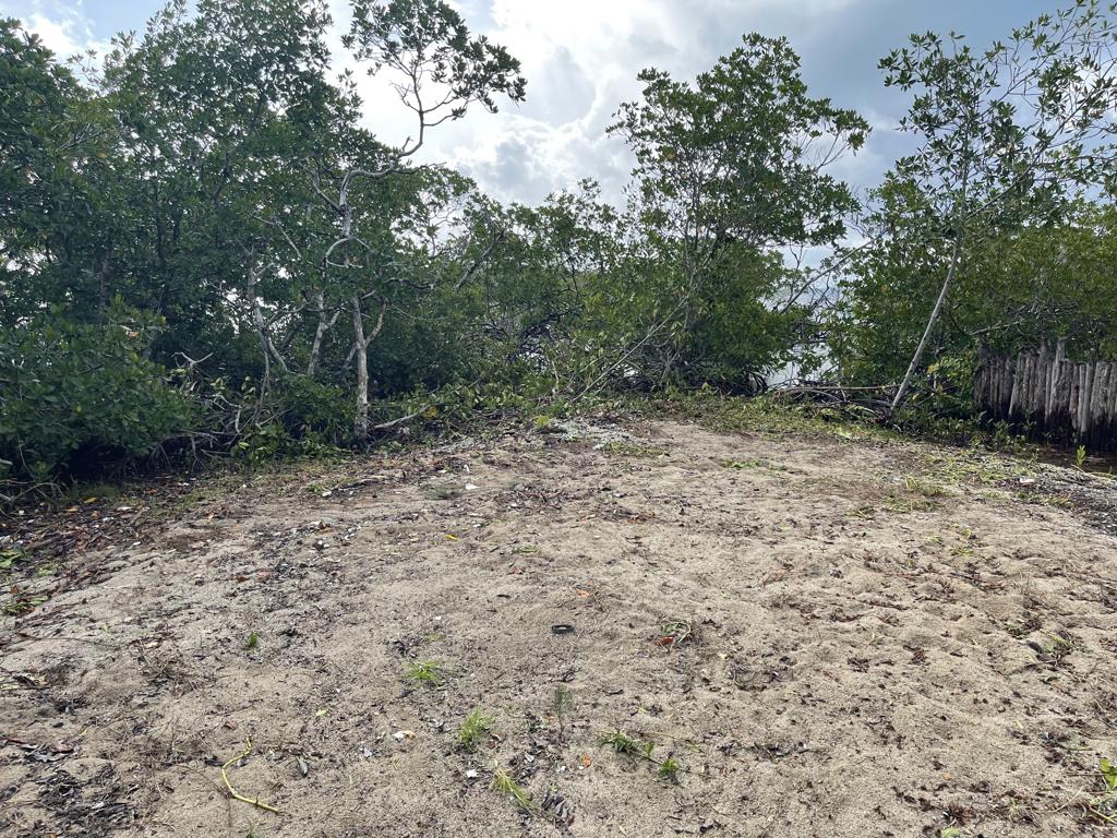 listing image with ID 2530