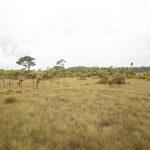 listing image thumbnail with ID 2681