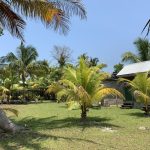 listing image thumbnail with ID 1989