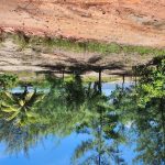 listing image thumbnail with ID 4240