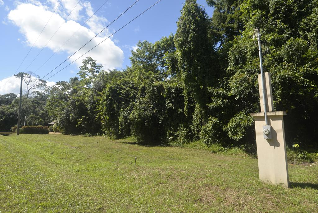 listing image with ID 6132