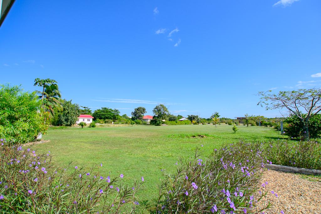 listing image with ID 6014