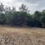 listing image thumbnail with ID 5845