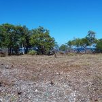 listing image thumbnail with ID 2564