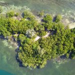 listing image thumbnail with ID 4775