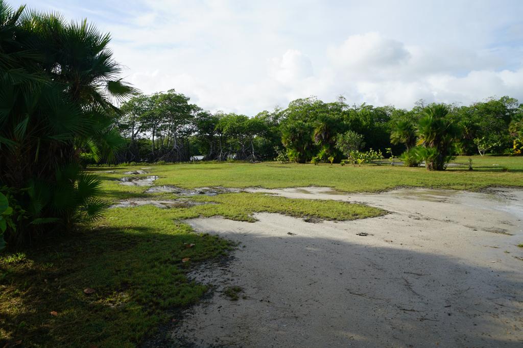 listing image with ID 5183