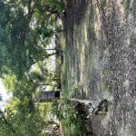 listing image thumbnail with ID 4780