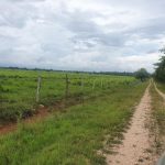 listing image thumbnail with ID 2015