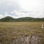 listing image thumbnail with ID 2683