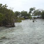 listing image thumbnail with ID 6501