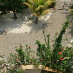 listing image thumbnail with ID 1824