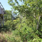 listing image thumbnail with ID 2519