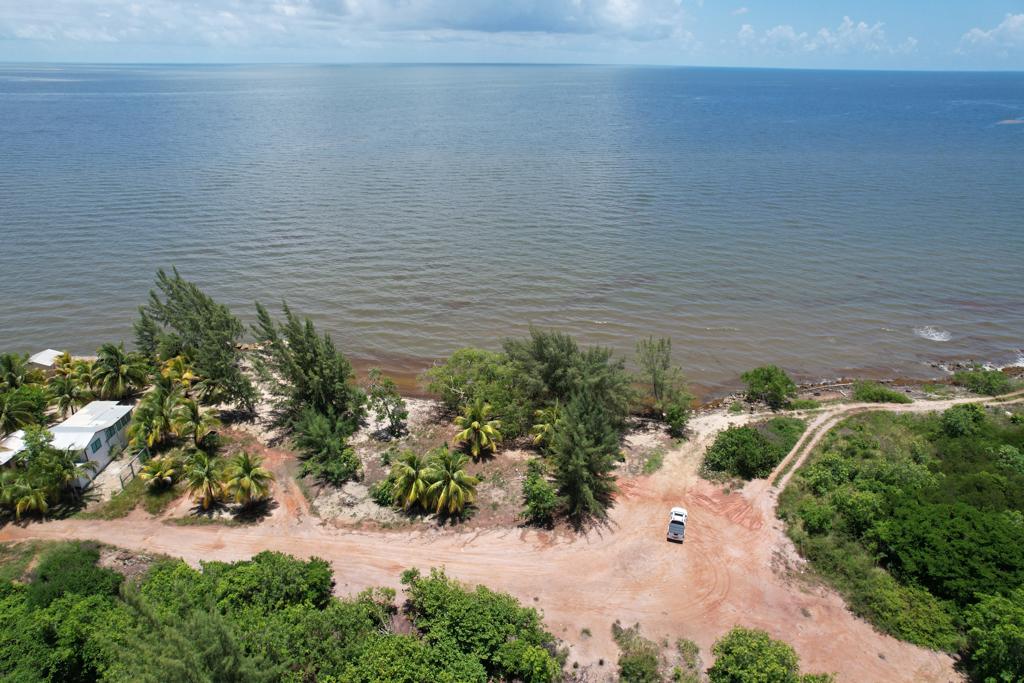 listing image with ID 4219