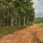 listing image thumbnail with ID 4626