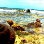 listing image thumbnail with ID 1766