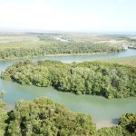 listing image thumbnail with ID 1895