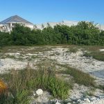 listing image thumbnail with ID 5259