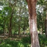 listing image thumbnail with ID 1829