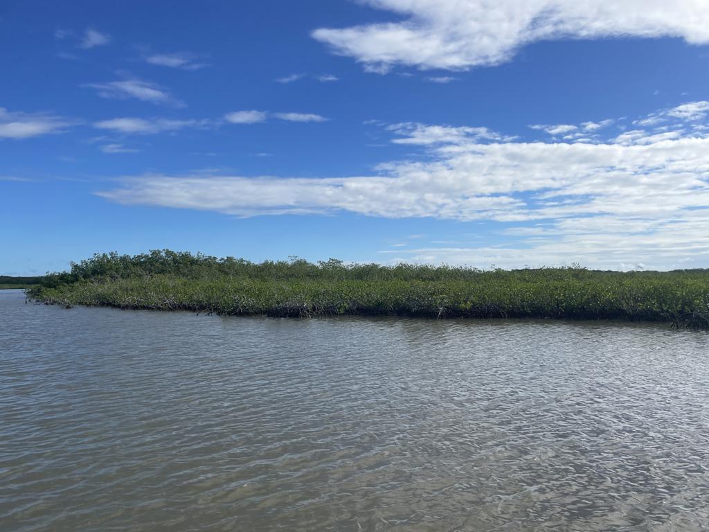 listing image with ID 5064