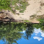 listing image thumbnail with ID 4238