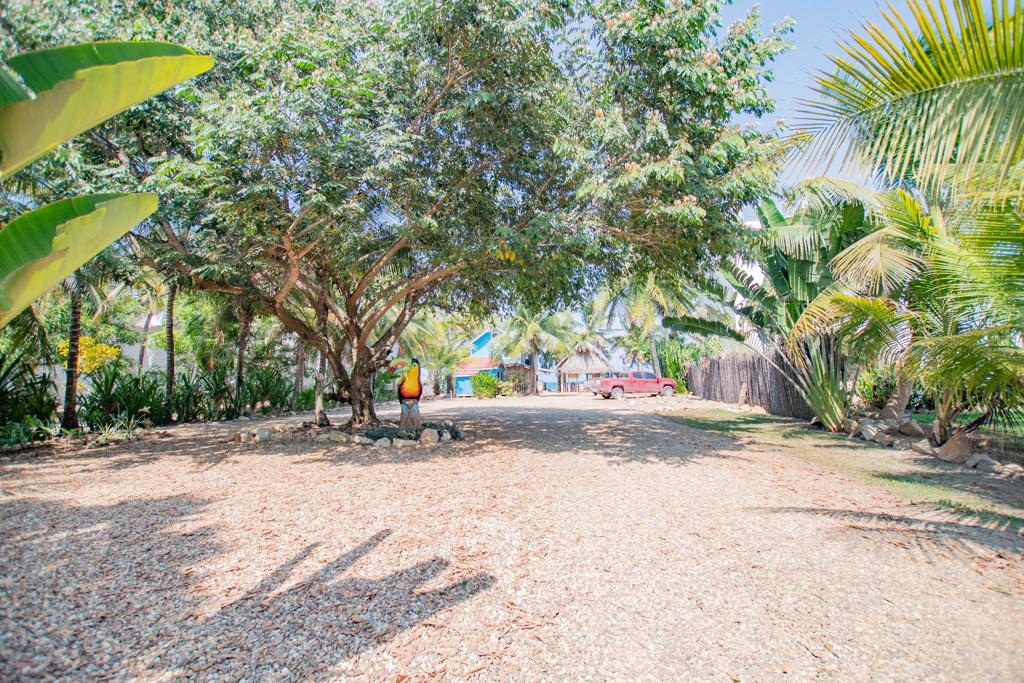 listing image with ID 6407