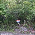 listing image thumbnail with ID 3865