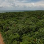 listing image thumbnail with ID 3890