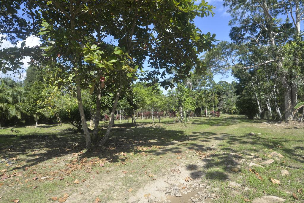 listing image with ID 6133