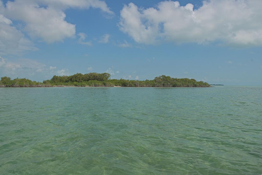 listing image with ID 3648