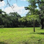 listing image thumbnail with ID 5744