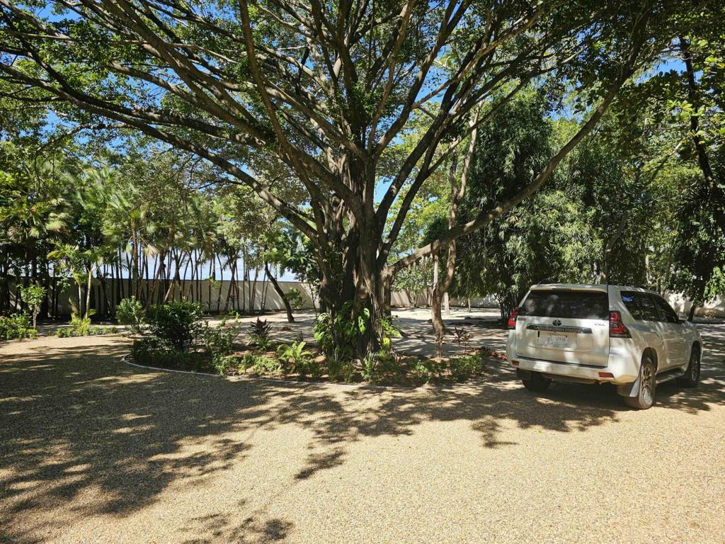 listing image with ID 6203