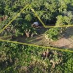 listing image thumbnail with ID 6040