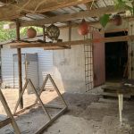 listing image thumbnail with ID 1991