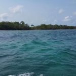 listing image thumbnail with ID 1772