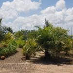 listing image thumbnail with ID 1828