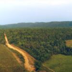 listing image thumbnail with ID 23223