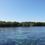 listing image thumbnail with ID 24219