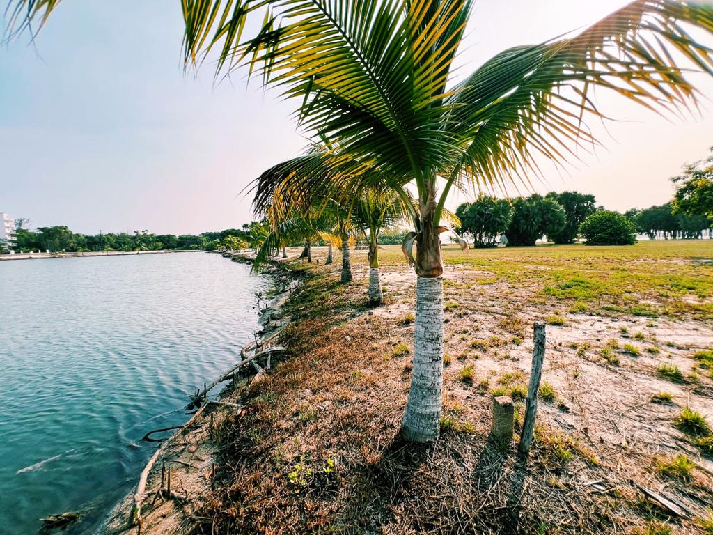listing image with ID 7777