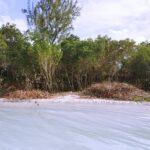 listing image thumbnail with ID 21921