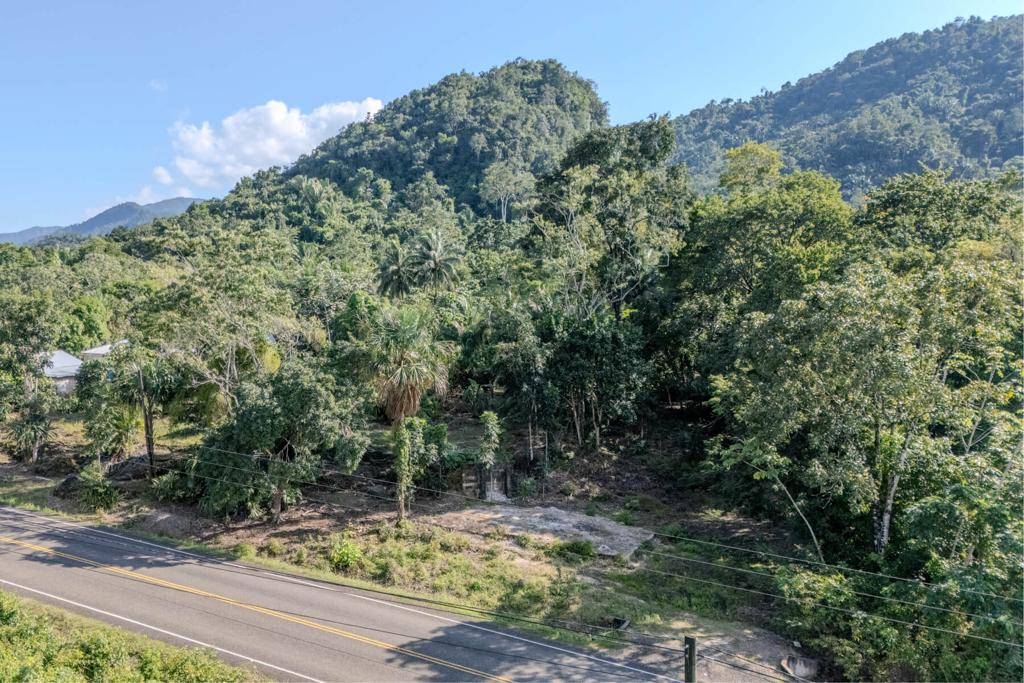 listing image with ID 21501