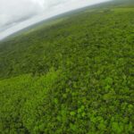 listing image thumbnail with ID 23301